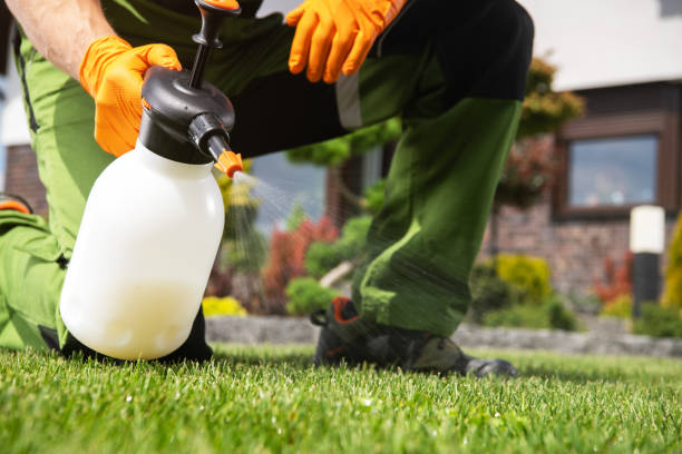 Best Pest Control for Businesses  in White City, FL