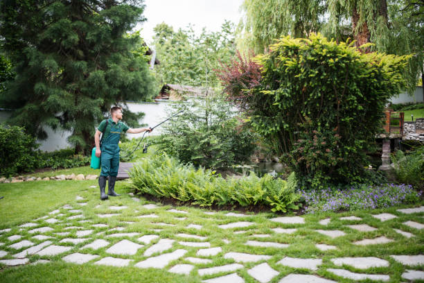 Best Affordable Pest Control Services  in White City, FL