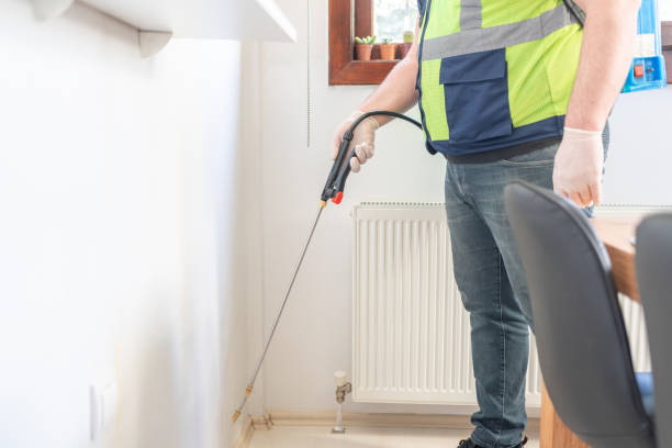 Best Affordable Pest Control Services  in White City, FL