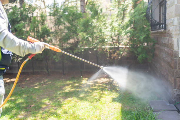 Best Wasp Removal Services  in White City, FL